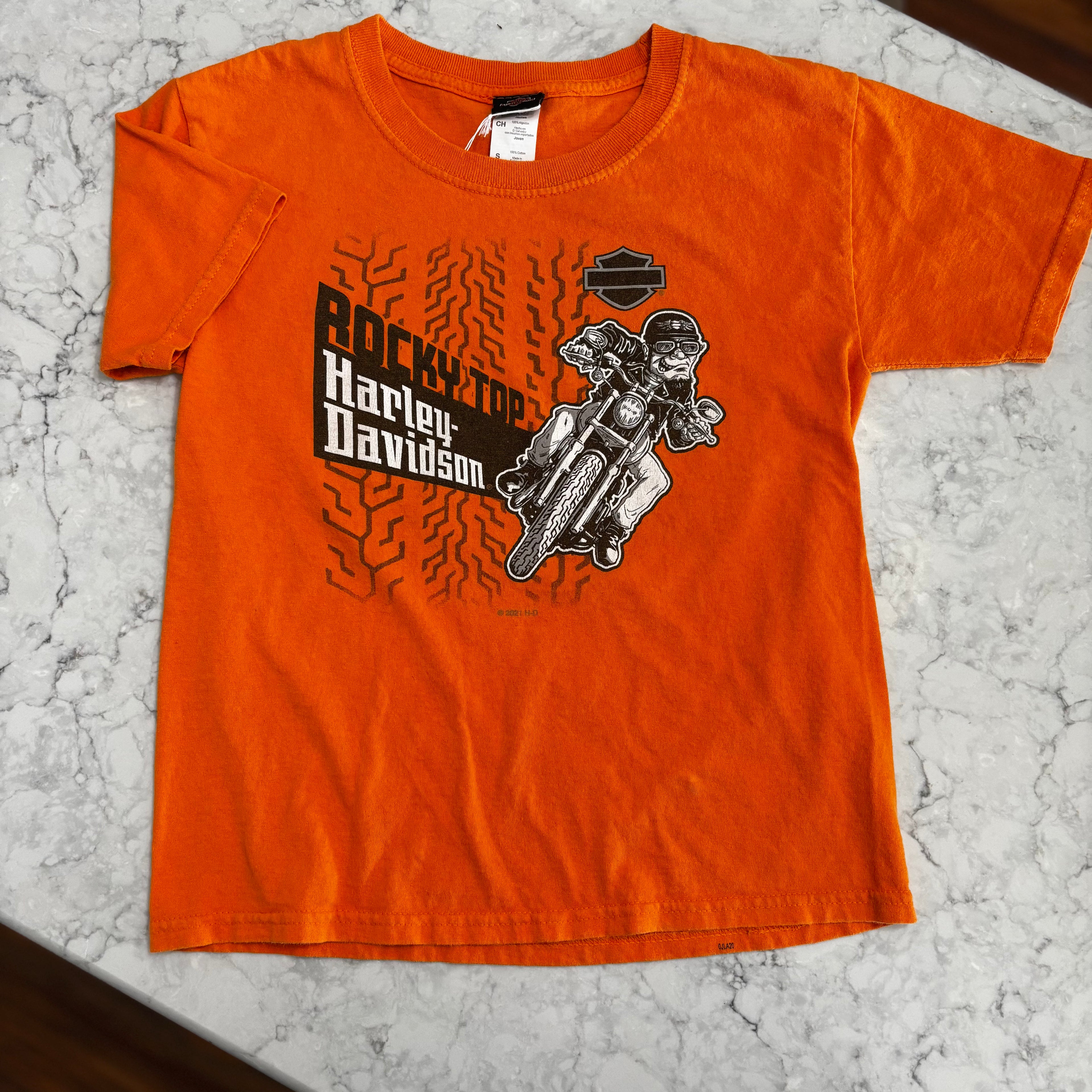 Rocky top youth Tee